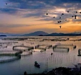 甘孜伴游中国网景点丰富(旅游网介绍)