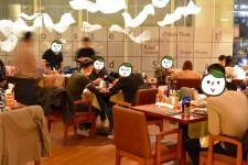 甘孜上海私人伴游 导游商务模特经纪,商务私人导游招聘