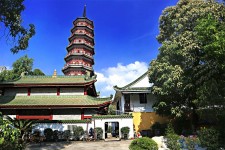 甘孜广州自由行(广州 自由行)