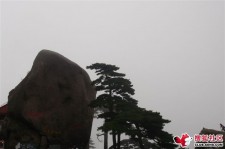甘孜上海伴游私家陪游雇用女模(上海伴游私家陪游雇用女模特)