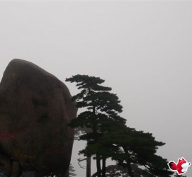 甘孜上海伴游私家陪游雇用女模(上海伴游私家陪游雇用女模特)