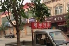 甘孜上海伴游 用伴游造句大全(5