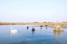 甘孜南昌附近伴游小妹兼职(1534939978姐的微信德惠市)