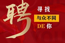 甘孜商务伴游招聘 重庆星级酒店诚招司机服务员夜场保安