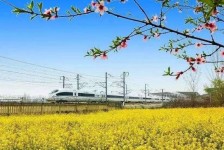甘孜高铁游(高铁游戏下载手机版)