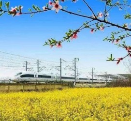 甘孜高铁游(高铁游戏下载手机版)