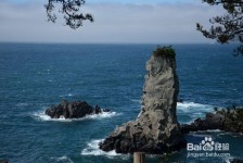 甘孜旅游全攻略(上海旅游全攻略)