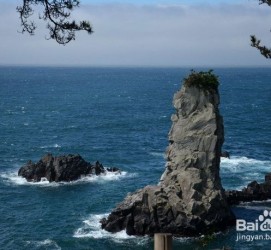 甘孜旅游全攻略(上海旅游全攻略)