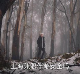 甘孜上海私人伴游 上海伴游，上海兼职伴游安全吗
