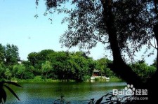 甘孜西湖旅游攻略(上海到杭州西湖旅游攻略)