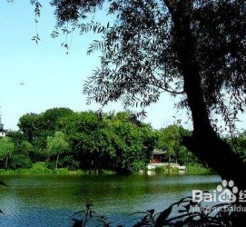 甘孜西湖旅游攻略(上海到杭州西湖旅游攻略)