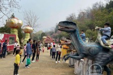 甘孜中国伴游带你打卡网红南山竹海(南山竹海网上预约)