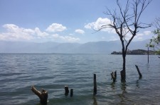 甘孜洱海旅游攻略(洱海旅游攻略自由行)