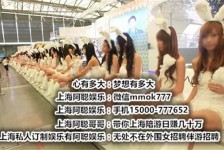 甘孜雇用旅游男伴游(北京商务酒店雇用伴游)