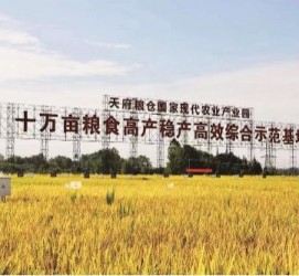 甘孜关于成都商务伴游外围雇用的信息
