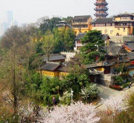 甘孜南京周边游(南京周边游景点大全 自驾车旅游)