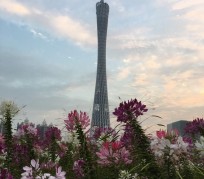 甘孜广州旅游攻略(杭州到广州旅游攻略)