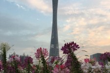 甘孜广州旅游攻略(杭州到广州旅游攻略)