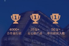 甘孜上海私人伴游 ​ “小而美”的新时代：2020年国内新跟团消费报告