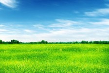 甘孜上海伴游 上海模特伴游微信号的交友宣言
