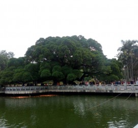 甘孜福州旅游攻略(福州旅游攻略二日游)