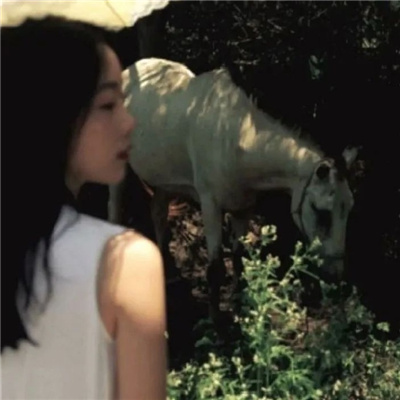 甘孜私家伴游让你拥有一次完美的旅游体验