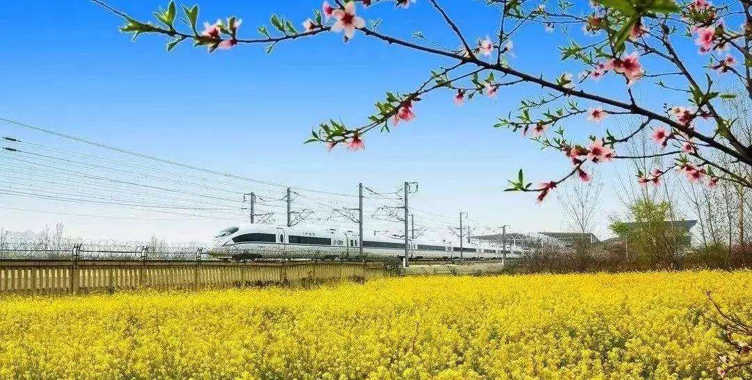 高铁游(高铁游戏下载手机版)